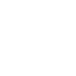 TVG Investment