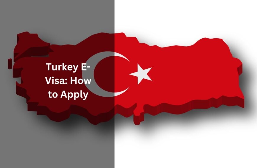 e visa turkey