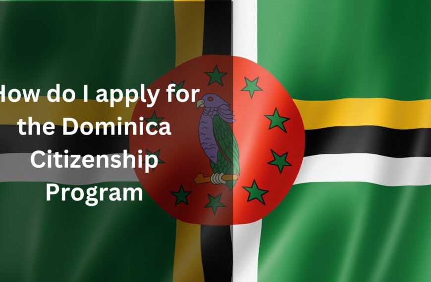 how to apply for dominican republic citizenship